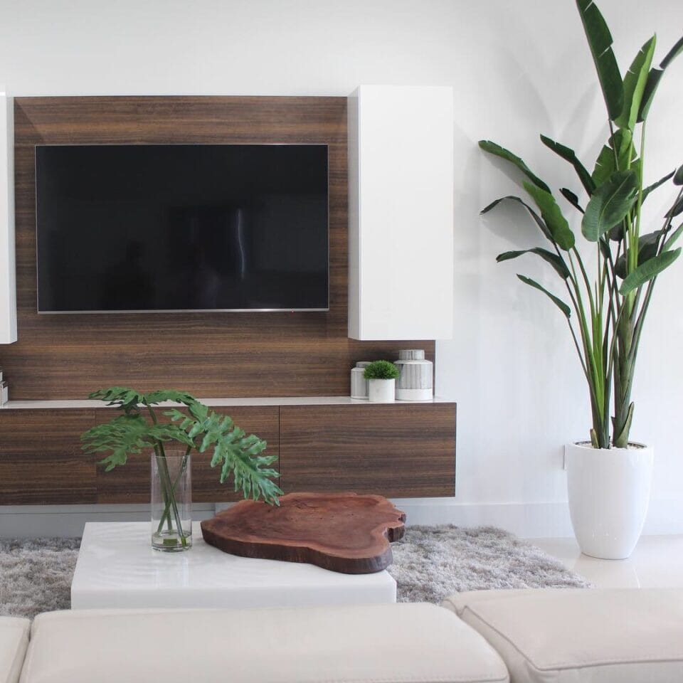 Bird of Paradise Plant (2.7 m) with Ben Planter in Glossy White The New Garden