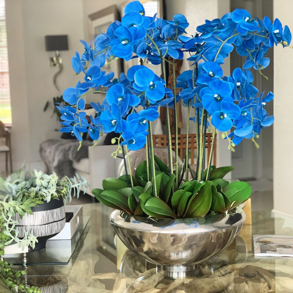 Bowl Avenue with Blue Phalaenopsis Orchids The New Garden