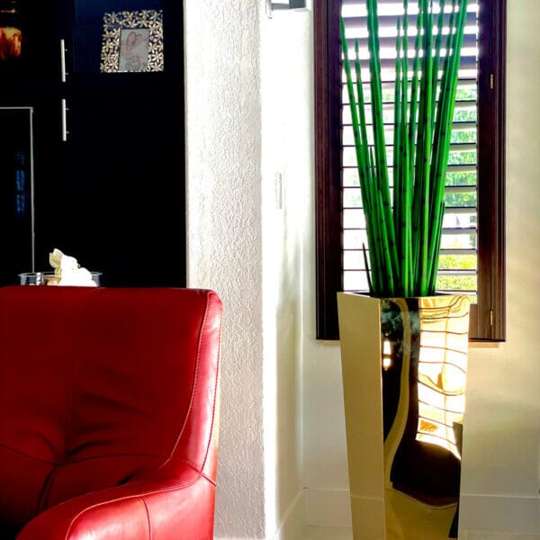 Golden Cube Vase with Snake Grass The New Garden