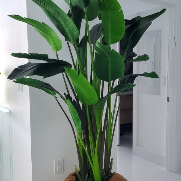 Large Vase Made of Teak Wood with Magnificent Strelitzia (Bird of Paradise) The New Garden