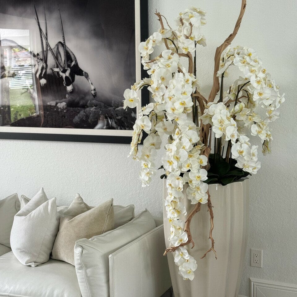 San Jose Beige Sand Vase with White Orchids in Cascade The New Garden