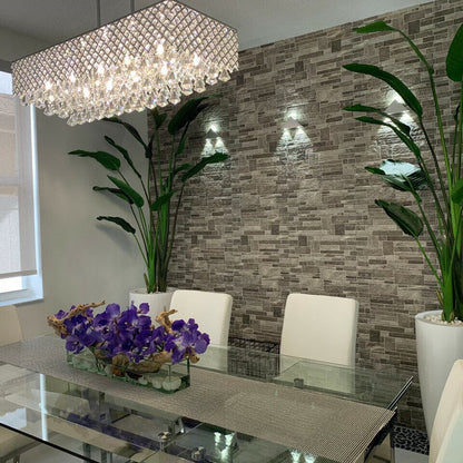 2.1 m Bird of Paradise Plant with Dax L Pot The New Garden 