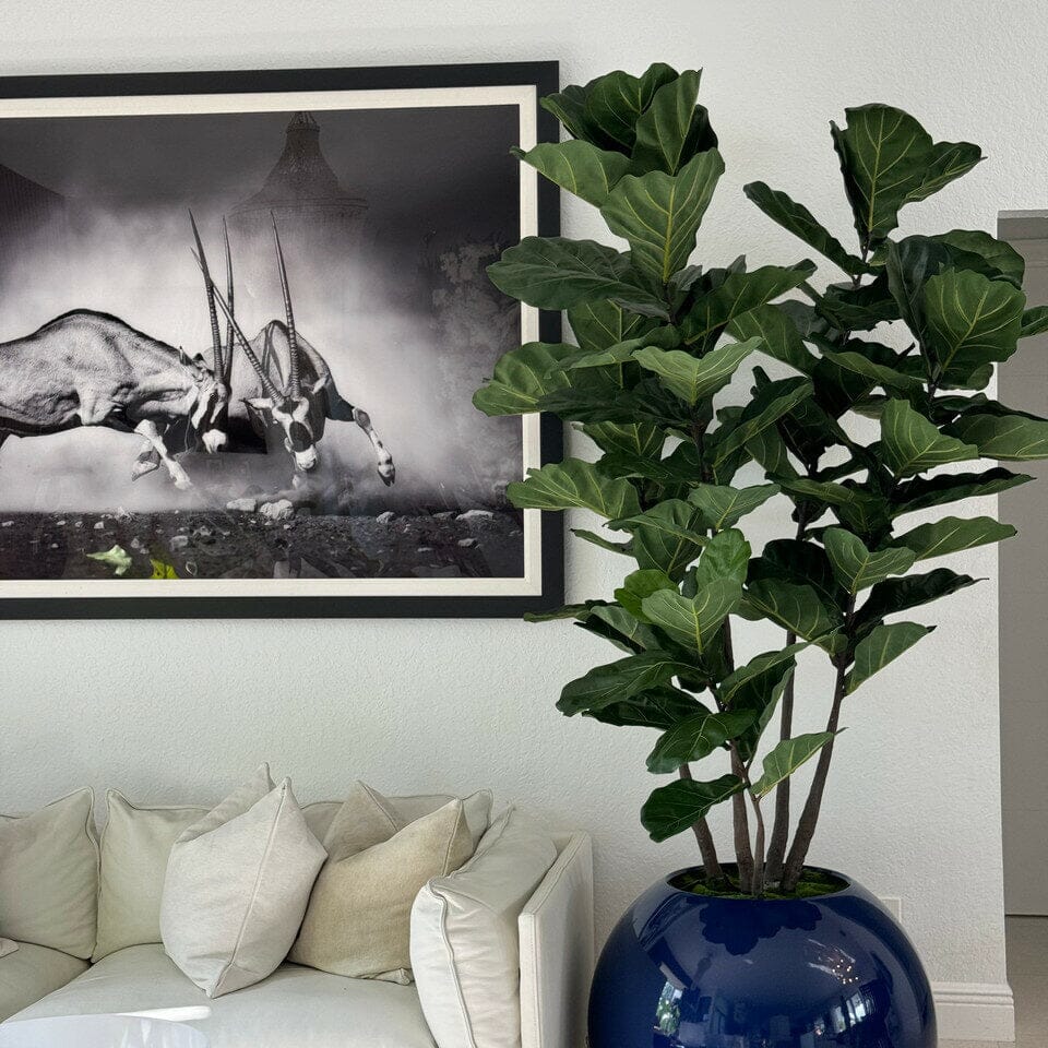 30″ Blue Globe Vase with Fiddle Leaf Fig The New Garden 