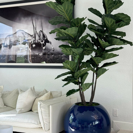 30″ Blue Globe Vase with Fiddle Leaf Fig The New Garden 