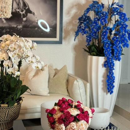 Alocasia Red Prince in extra large pot with glossy white finish The New Garden 