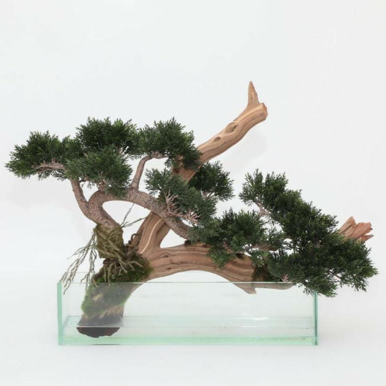 Artificial Creeping Juniper Bonsai in Glass Pot The New Garden 