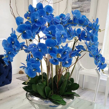 Avenue Bowl with Blue Phalaenopsis Orchids The New Garden 