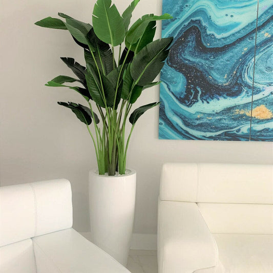 Bird of Paradise Plant 7 Feet with Dax Pot L The New Garden 