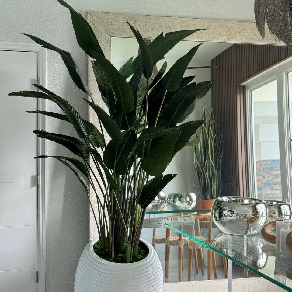 Bird of Paradise Plant in White Spiral Vase The New Garden 
