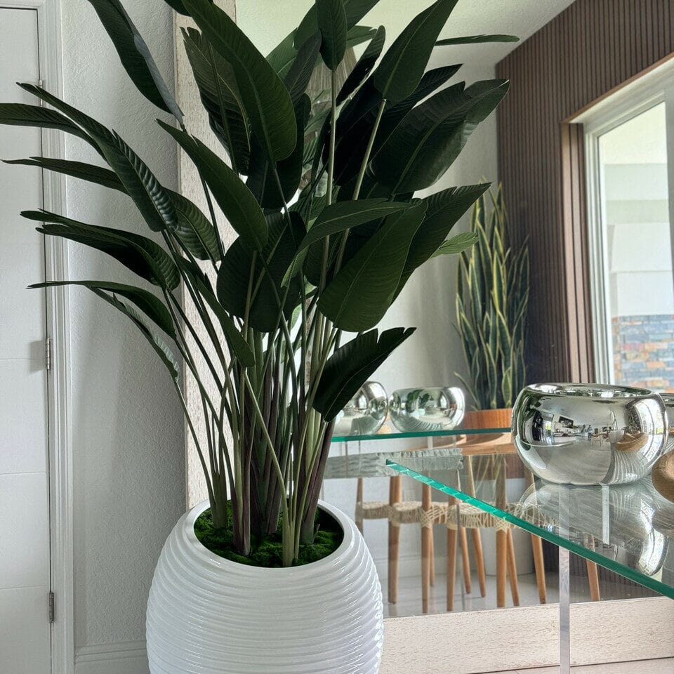Bird of Paradise Plant in White Spiral Vase The New Garden 