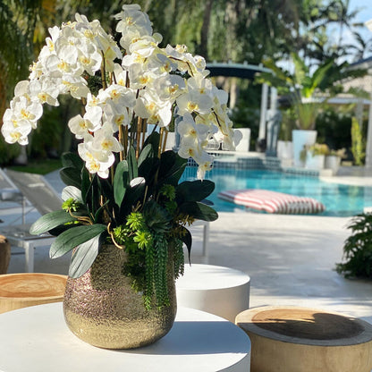 Delaney Vase in Gold with Multiple Phalaenopsis Orchid Stems and Succulents The New Garden 