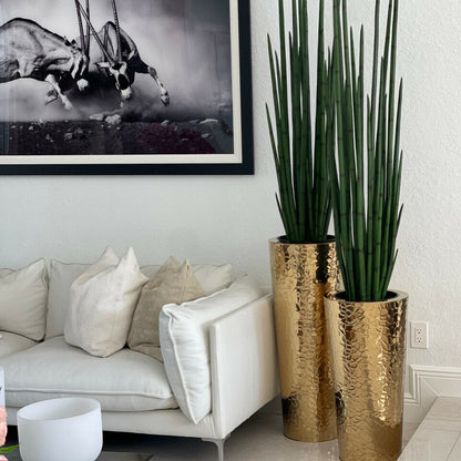 Gold Stainless Steel Cone Vase with Large Snake Grass Plant The New Garden 