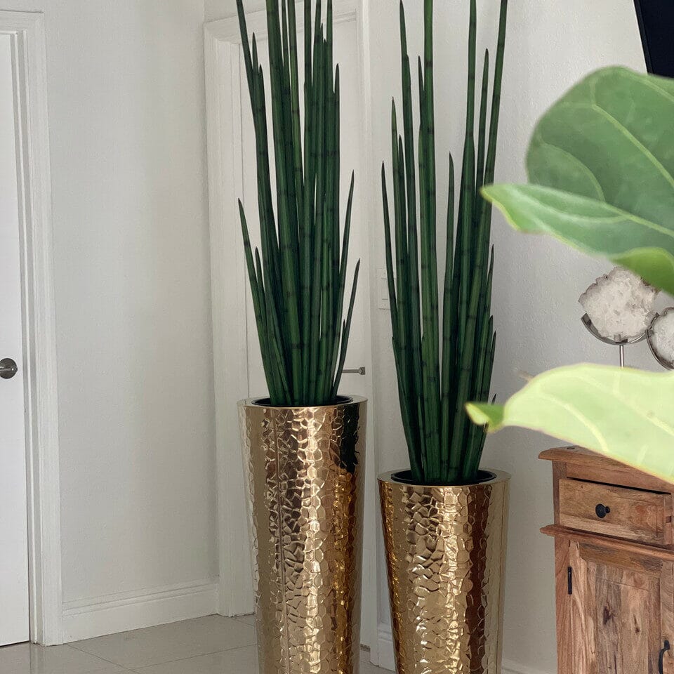 Gold Stainless Steel Cone Vase with Large Snake Grass Plant The New Garden 