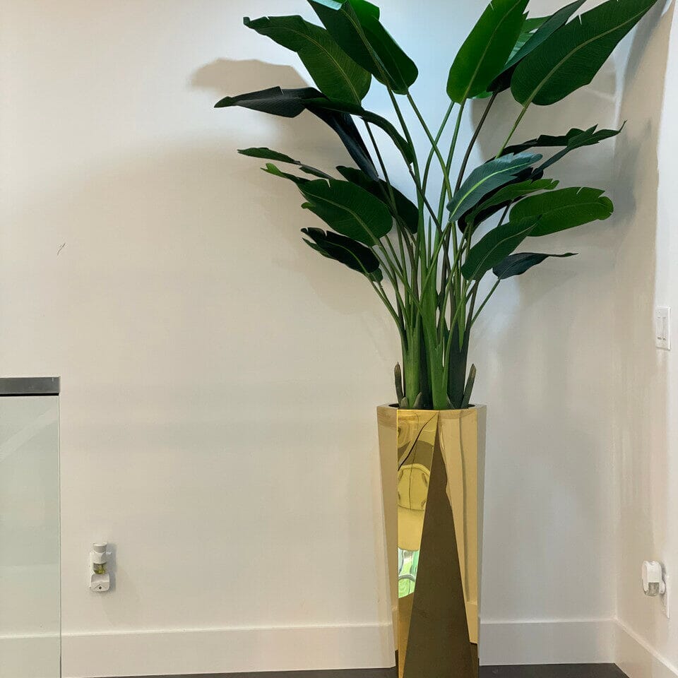 Golden Prism Planter with Bird of Paradise Plant (2.1 m) The New Garden 