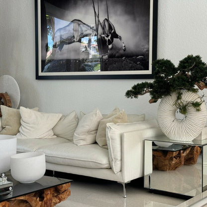 Large Eternity Vase with Hanging Bonsai and Driftwood The New Garden 