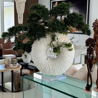 Large Eternity Vase with Hanging Bonsai and Driftwood The New Garden 