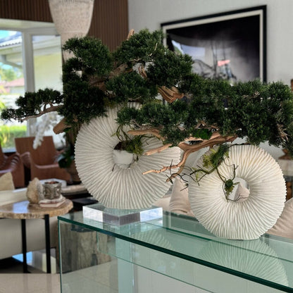 Large Eternity Vase with Hanging Bonsai and Floating Wood The New Garden 