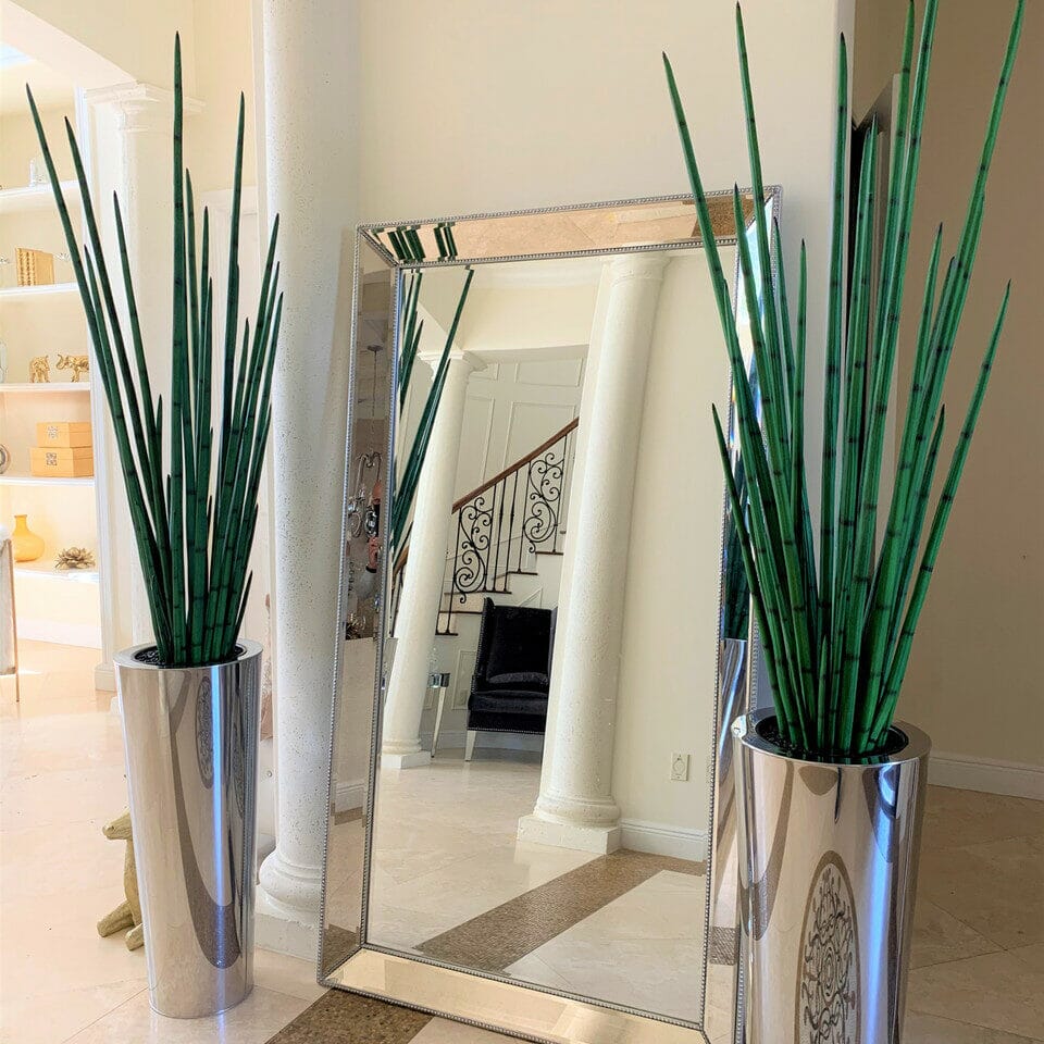 Large Polished Stainless Steel Cone Vase with Large Snake Grass Plant The New Garden 