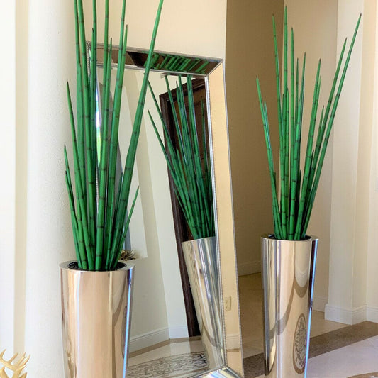 Large Polished Stainless Steel Cone Vase with Large Snake Grass Plant The New Garden 