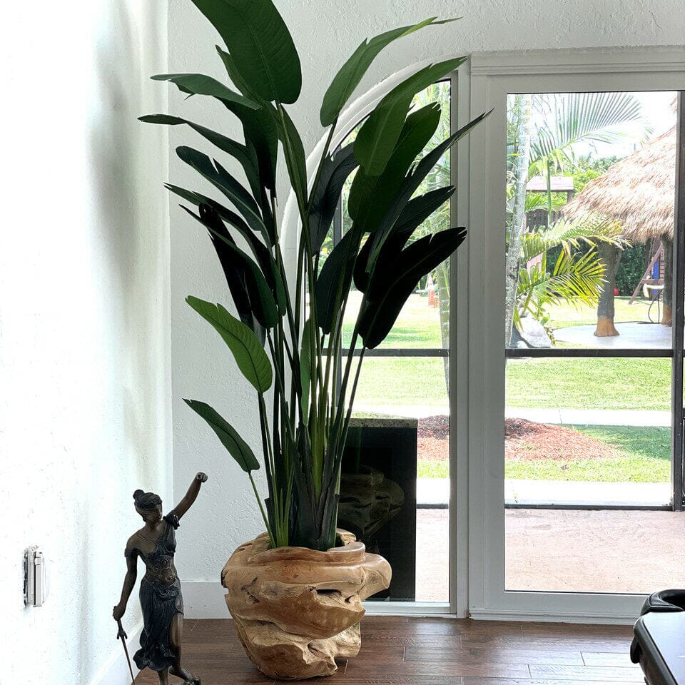 Large Vase Made of Teak Wood with Magnificent Strelitzia (Bird of Paradise) The New Garden 