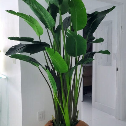 Large Vase Made of Teak Wood with Magnificent Strelitzia (Bird of Paradise) The New Garden 
