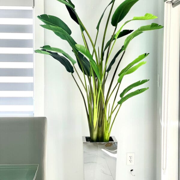Medium stainless steel cube vase with Bird of Paradise (7′) The New Garden 