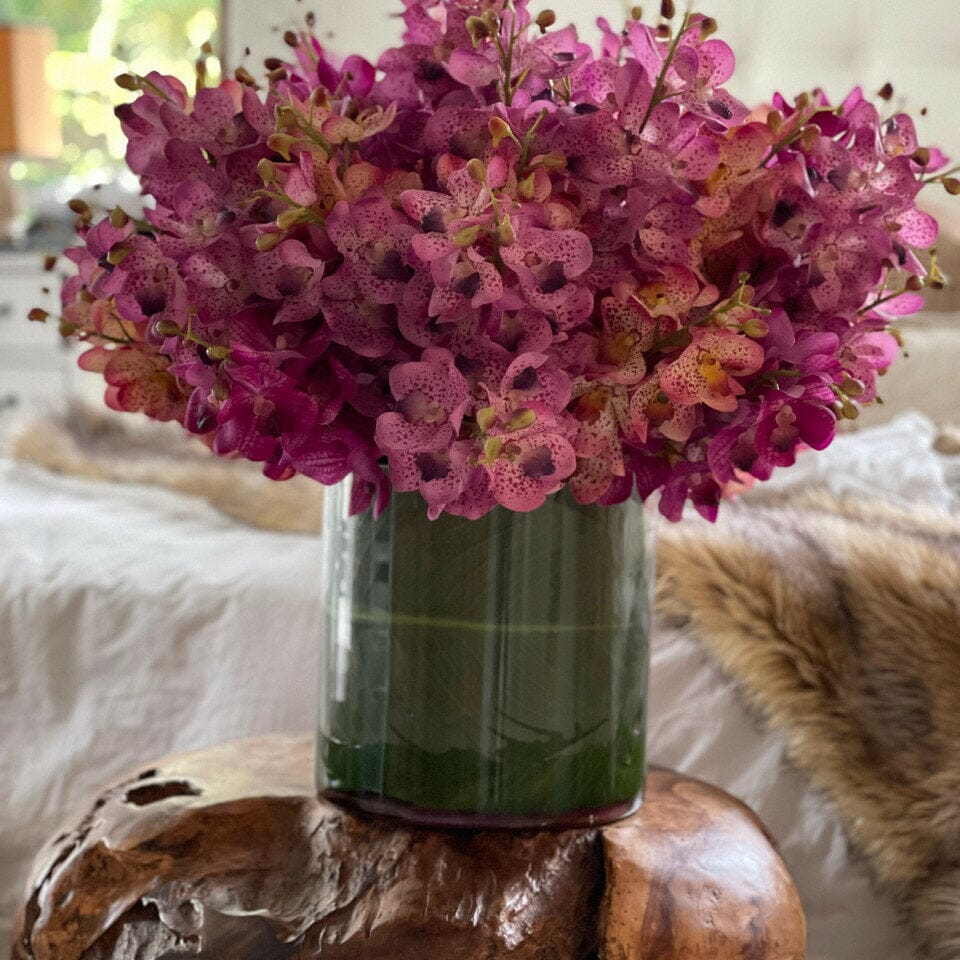 Mixed Mokara Orchids in Large Rotating Cylinder The New Garden 