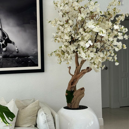 Personalized Cherry Blossom Tree in Glossy White Globe Vase The New Garden 