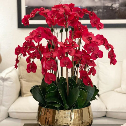 Red Phalaenopsis Orchids in a Medium Gold Pot The New Garden 