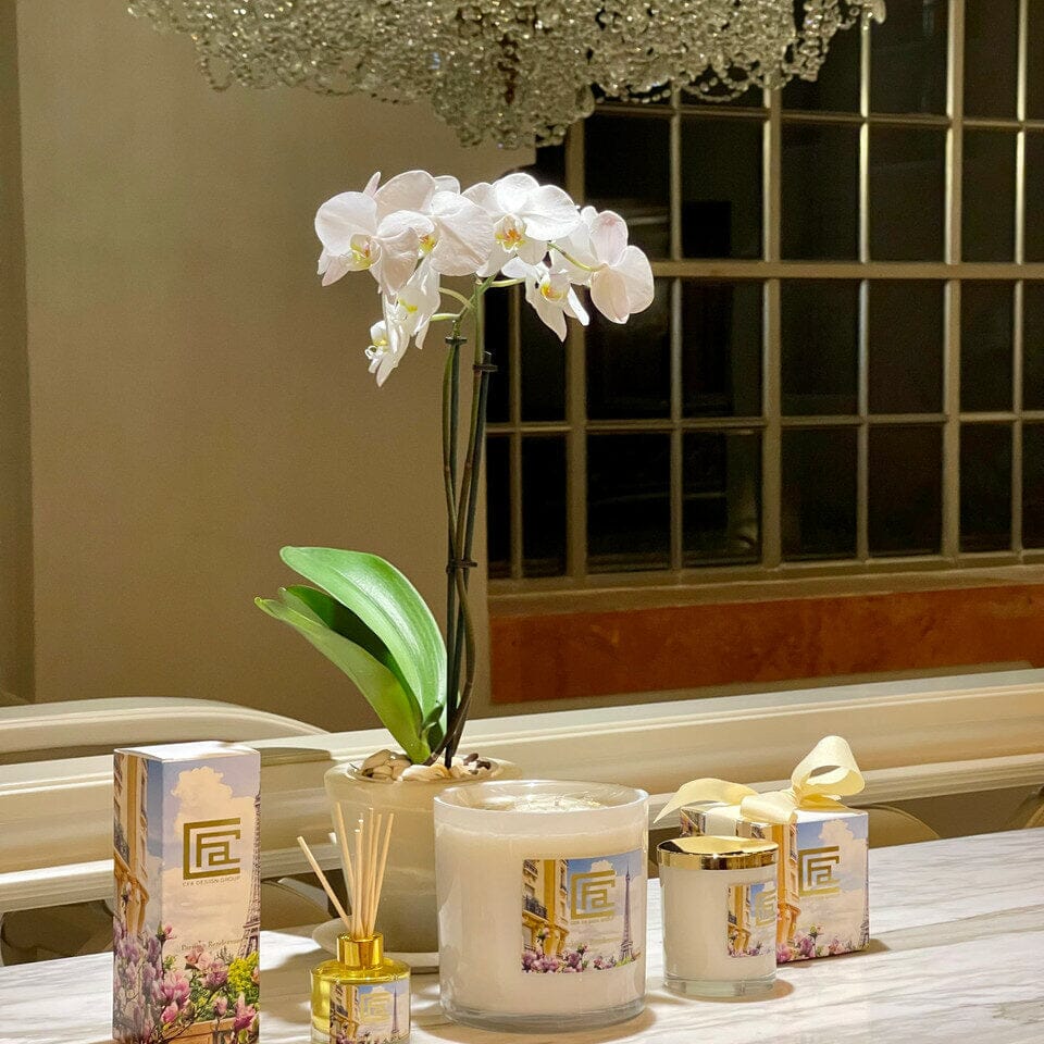 Rendezvous Parisian Reed Diffuser The New Garden 