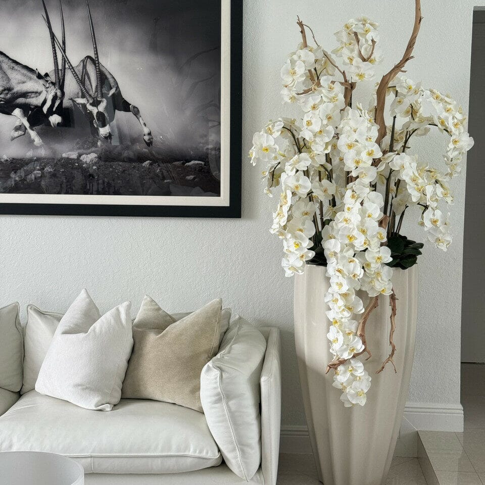 San Jose Beige Sand Vase with White Orchids in Cascade The New Garden 