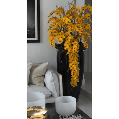 San Jose Vase in Glossy Black with Cascading Yellow Orchids The New Garden 