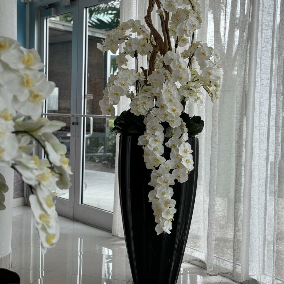 San Jose Vase in glossy black with hanging yellow orchids The New Garden 