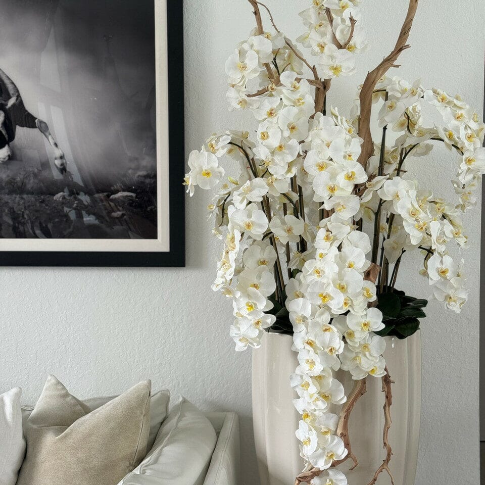 San Jose Vase in sandy Beige with white orchids in waterfall design The New Garden 