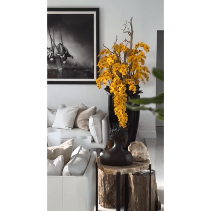San Jose Vase in shiny black with hanging yellow orchids The New Garden 