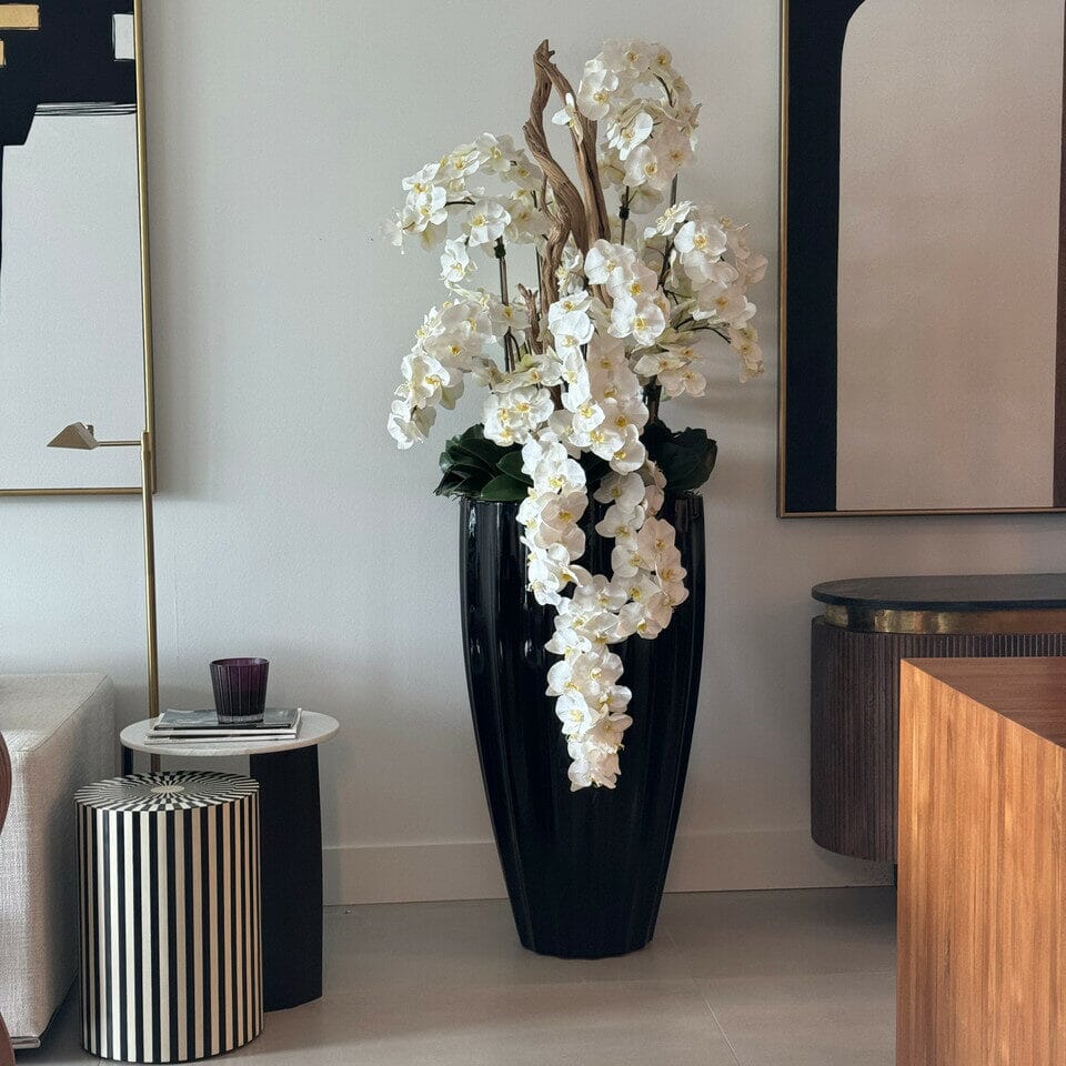 Shiny Black San Jose Vase with Cascading White Orchids The New Garden 