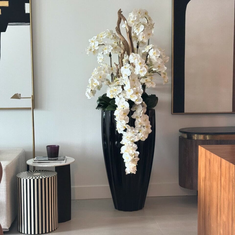 Shiny Black San Jose Vase with Cascading White Orchids The New Garden 