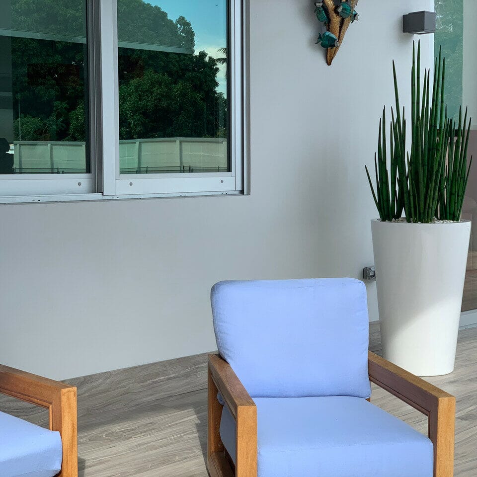 Snake Grass (1.63 m) with Belle L Planter The New Garden 