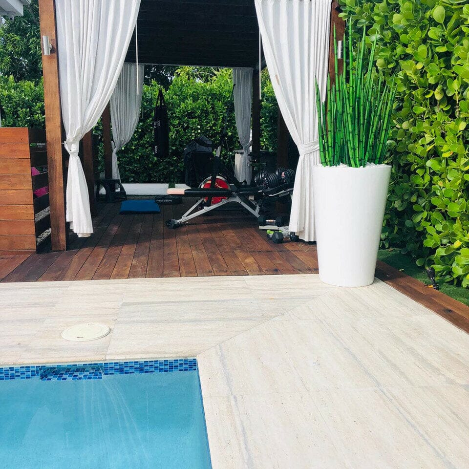 Snake Grass (1.63 m) with Belle L Planter The New Garden 