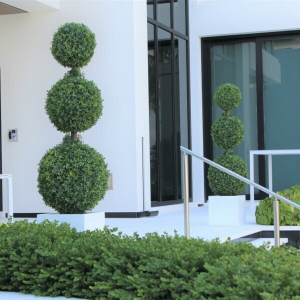Triple Sphere Topiary with Medium Block Fiberglass Pot The New Garden 