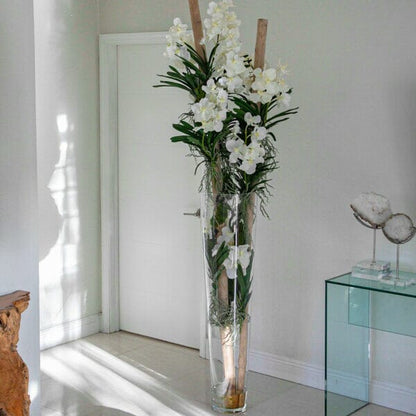 White Vanda Orchids with Driftwood in a Large Conical Glass Cylinder The New Garden 